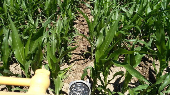 aplicacion entre lineas