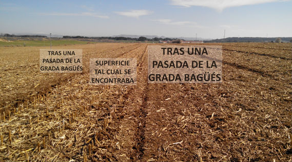 campo trabajajado grada