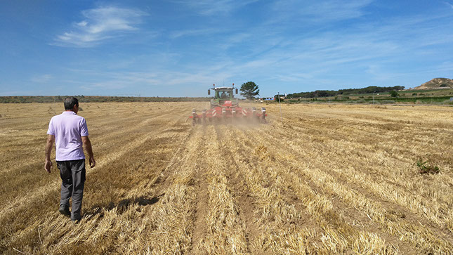 campo trabajado striptill