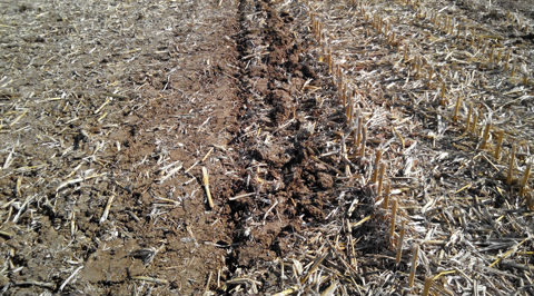 Rodillo con grada de discos Bagues, gradas de discos, nuevos