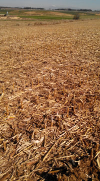 Rodillo con grada de discos Bagues, gradas de discos, nuevos