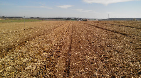 Rodillo con grada de discos Bagues, gradas de discos, nuevos