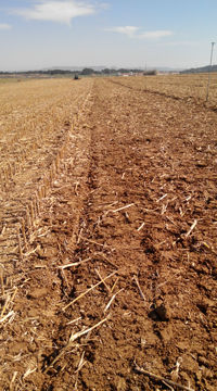 Rodillo con grada de discos Bagues, gradas de discos, nuevos