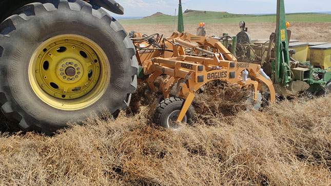 striptill con sembradora