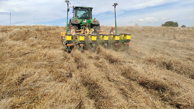 striptill con sembradora