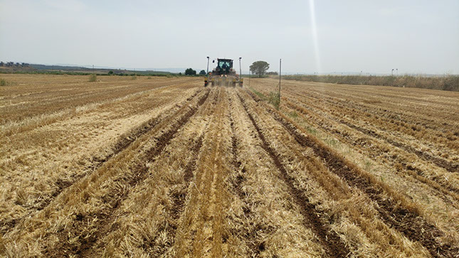 striptill con sembradora