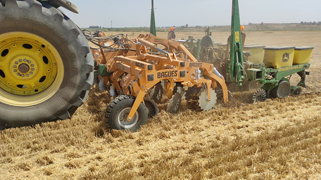 striptill con sembradora