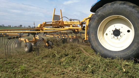 rastrillo-hilerador-vista-detalle