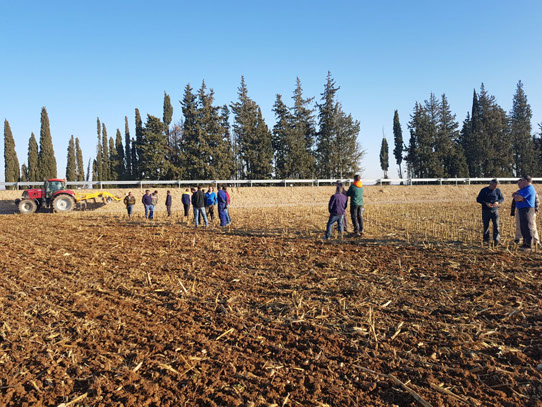 rastrojador, chisel rastrojador